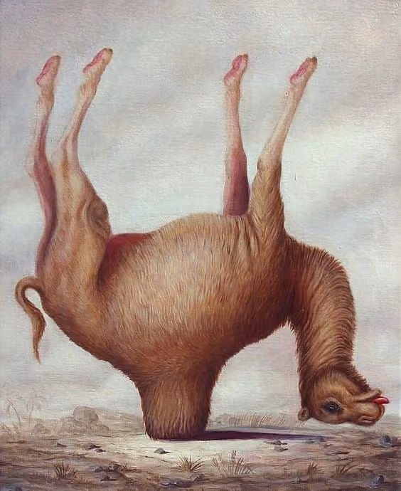 Dromadaire renversé